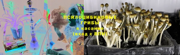 прущая мука Киренск