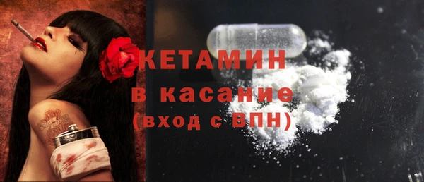 индика Киреевск