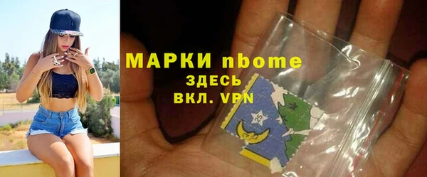индика Киреевск