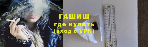 индика Киреевск