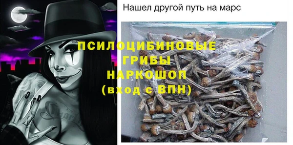 индика Киреевск