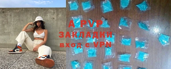 индика Киреевск
