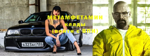 индика Киреевск