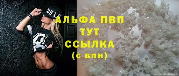 стаф Кинешма