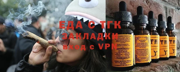 индика Киреевск