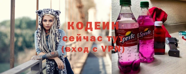индика Киреевск