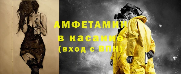 индика Киреевск