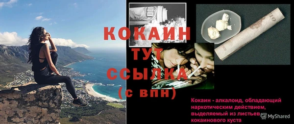 стаф Кинешма