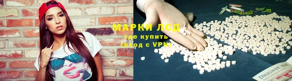 индика Киреевск