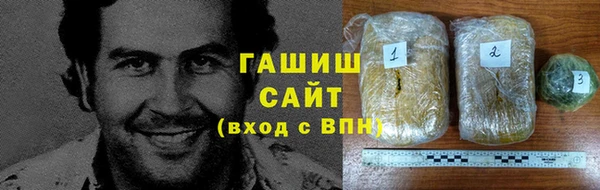 индика Киреевск