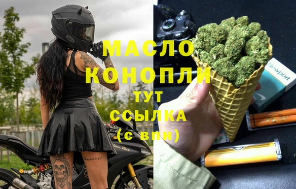 индика Киреевск